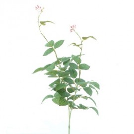 HOJA DE ROSA 90CMS-&
