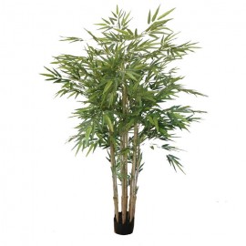 Bambú 1,50cm. con maceta