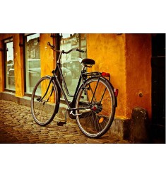 Cuadro Bicicleta Vintage Alto Brillo