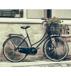 Cuadro Bicicleta Vintage Alto Brillo