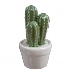Maceta cactus porcelana 13x5cm.