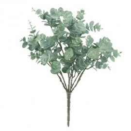RAMO EUCALYPTUS